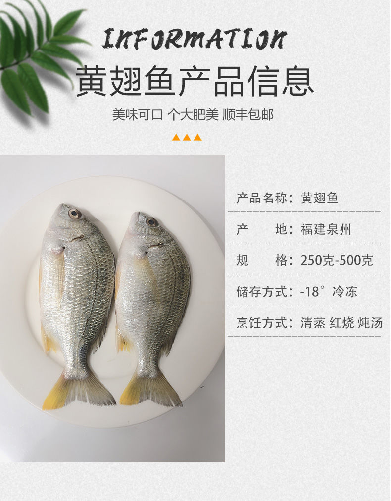 海捕高鲜度特大黄翅鱼黄鳍鲷黄鲷鱼急冻锁鲜发货食味缘5斤装79条