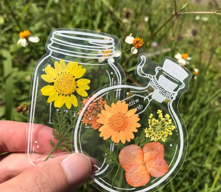 漂真干花书签diy材料包小学生手工制作感植物标本压花书签塑封膜现货