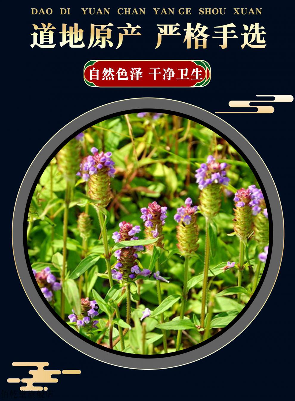 佰乾堂 夏枯草中药材夏枯球500g白毛野生新鲜夏枯草茶夏姑草夏菇草