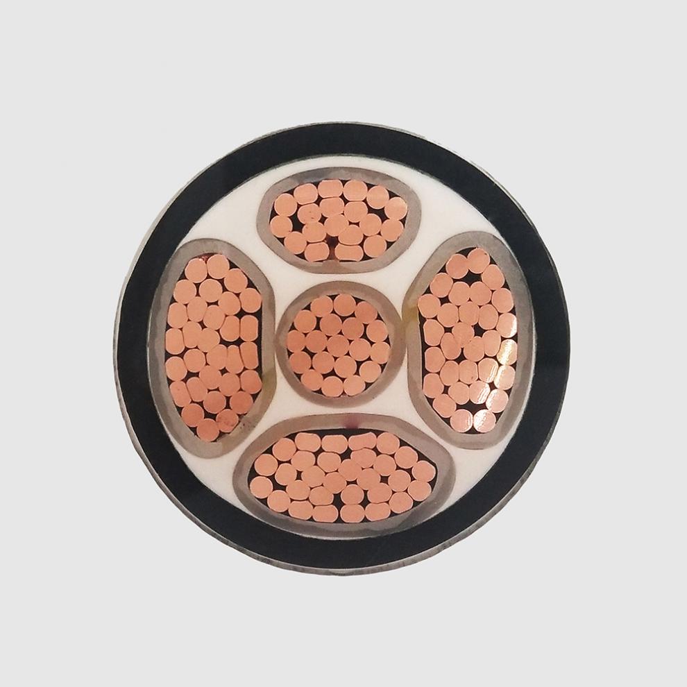 汽车充电桩电缆5x10延长电源线阻燃特斯拉混动新能源车用电线 10米