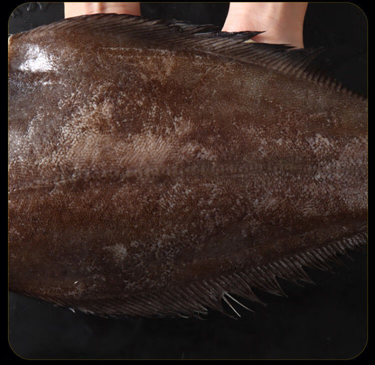 新鲜身 深海鱼鸦片鱼 冷冻生鲜鱼类碟鱼段 身 二斤装【二条装】【图片