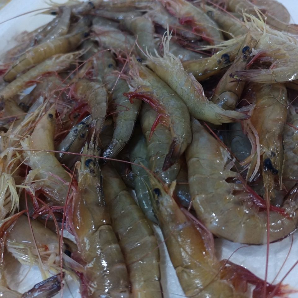 lism野生海鲜纯野生海虾红须厚壳虾深海捕捞鲜活速冻虾野生红须虾80只