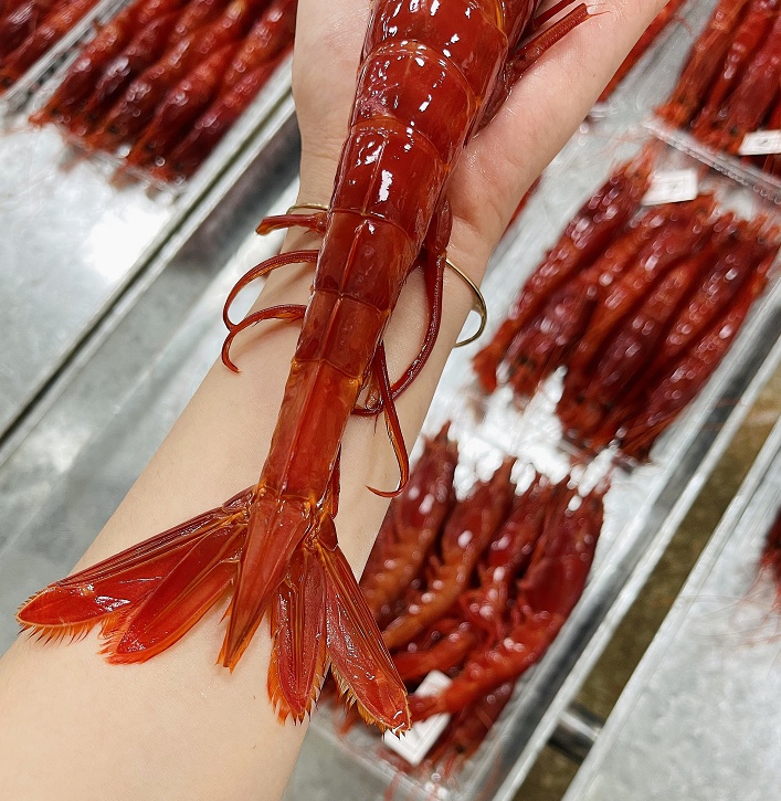 红魔虾特大鲜活刺身级低温甜虾非莫桑比克西班牙甜虾刺身生吃海鲜500g