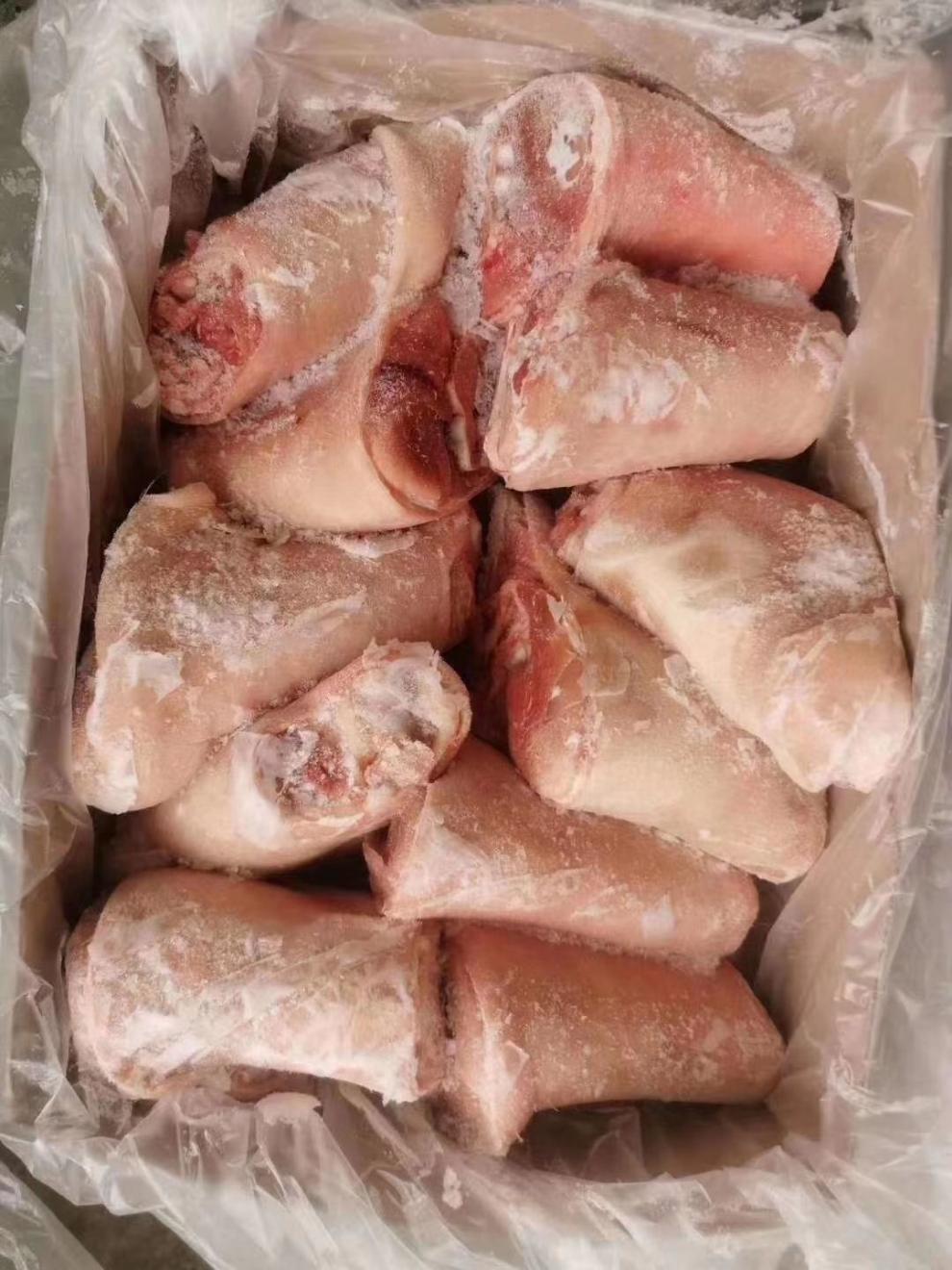 冷冻新鲜猪肘子猪蹄膀猪前蹄猪前肘生猪蹄膀20斤箱812个左右诺斯食美