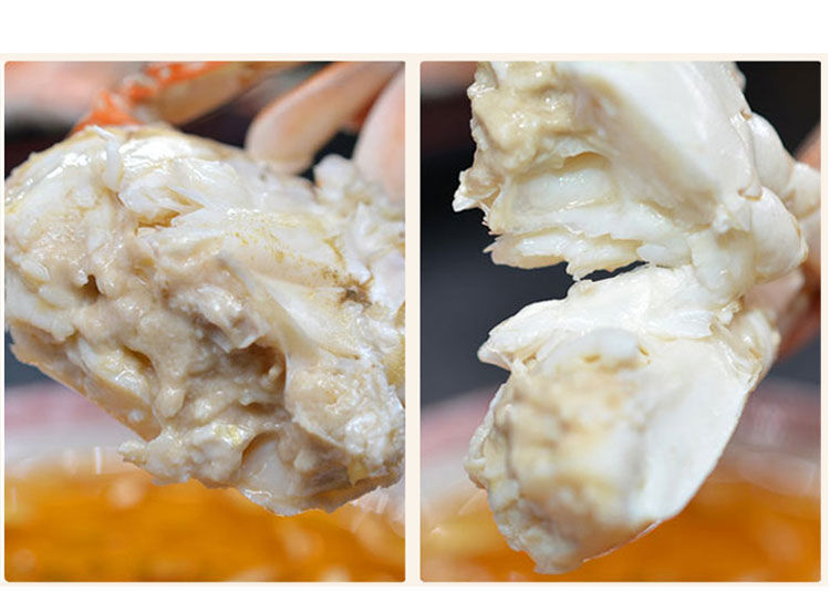 梭子蟹鲜活大特大新鲜青岛公母混海鲜速冻生鲜 塞红康尔 200-300/只