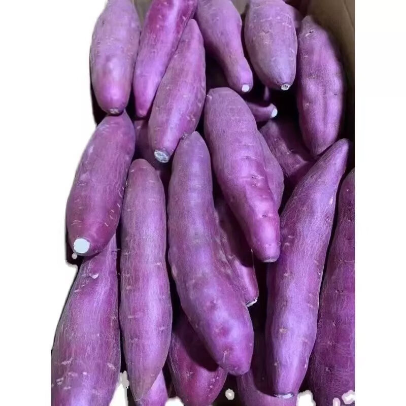 红瑶玛莎莉红薯紫心蜜鸣门金时紫水晶紫白红薯一点红哈蜜红薯 西瓜红
