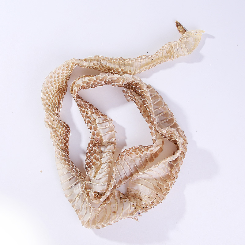 同仁堂蛇皮蜕500g皮蛇退龙衣蛇皮青龙衣蛇壳中药材 100g【图片 价格