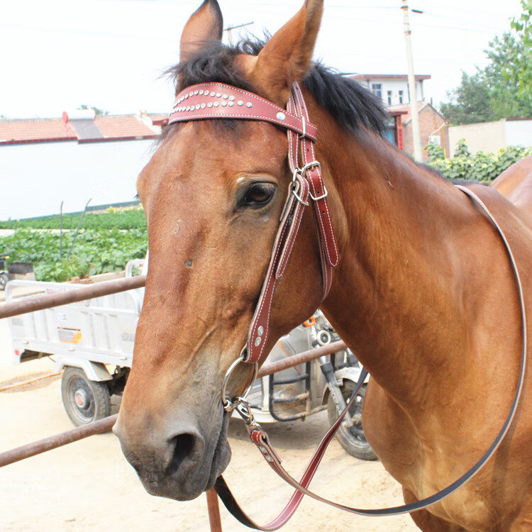 新款水勒缰绳牛皮马嚼子全套用品马具大小矮马笼头飞