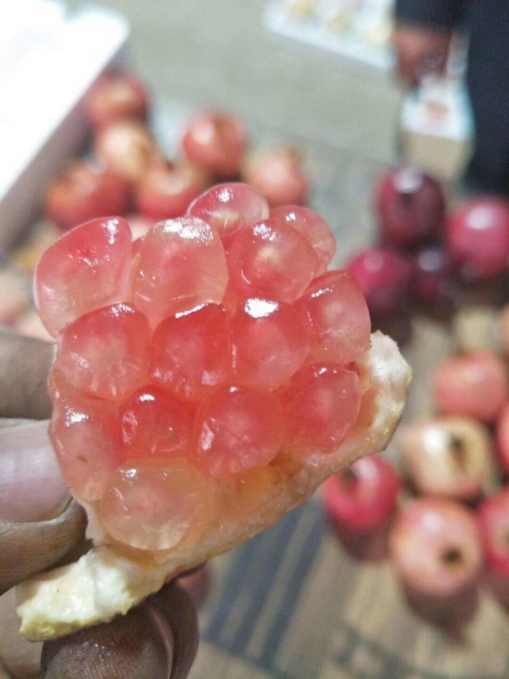 安徽特产石榴红玛瑙玉石籽薄皮新鲜水果现摘大果 玉石籽石榴 【6枚