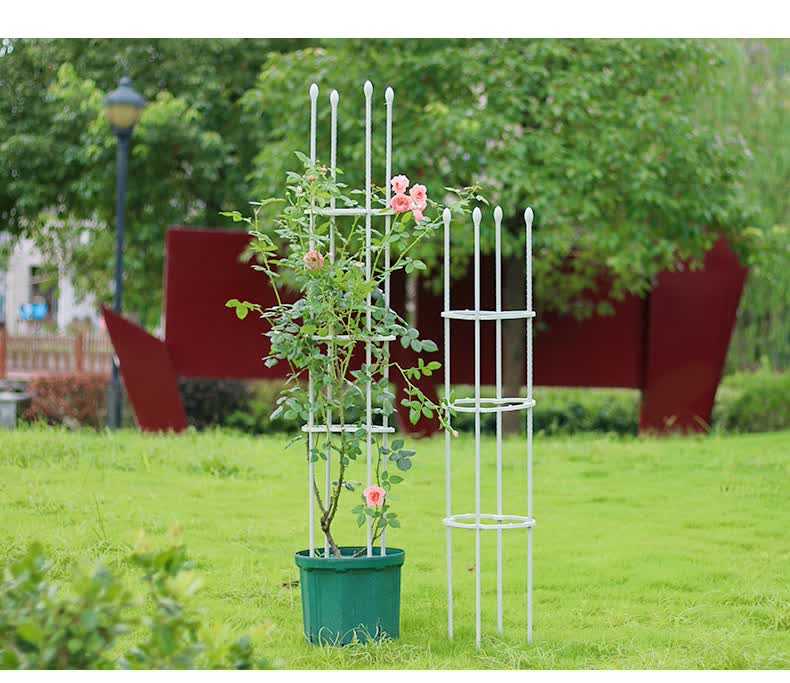 花架爬藤架子铁线莲月季花支架花盆植物攀爬支架阳台固定花支撑杆直径