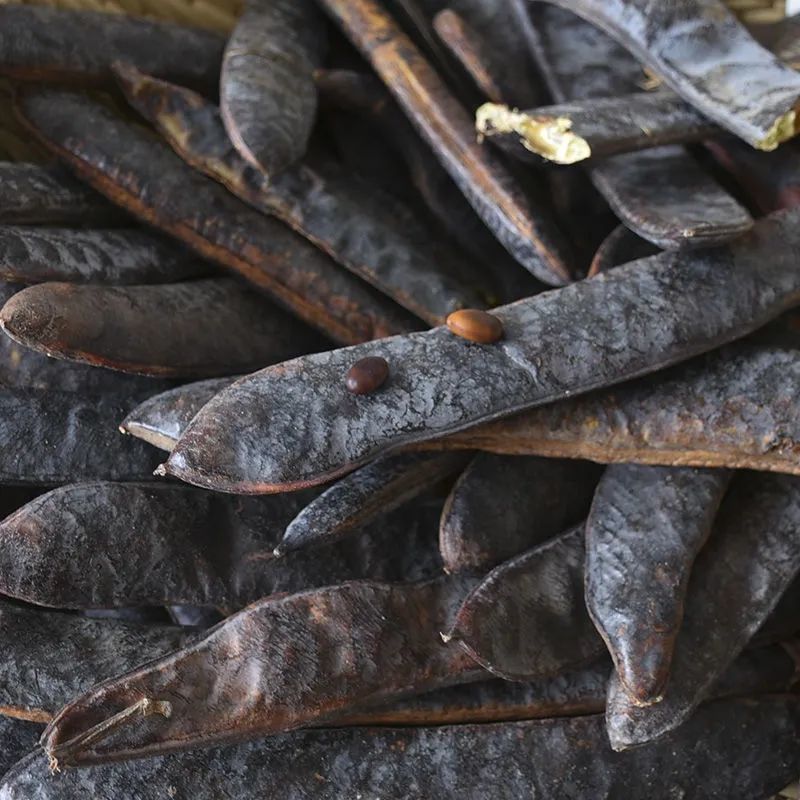 南京同仁堂原料 野生皂角 大皂角 长 皂角 皂荚 野生 洗发 皂角 段片