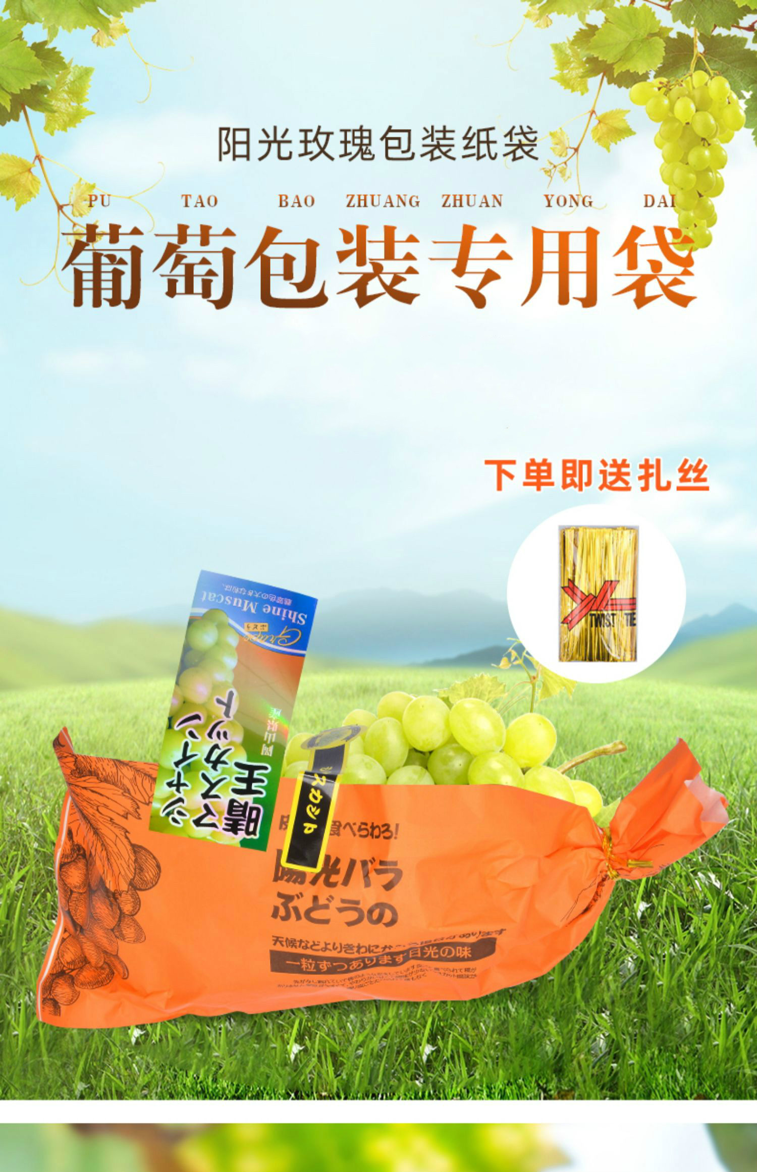阳光玫瑰葡萄包装纸透明专用包装袋包葡萄的纸袋水果晴王黑一次性