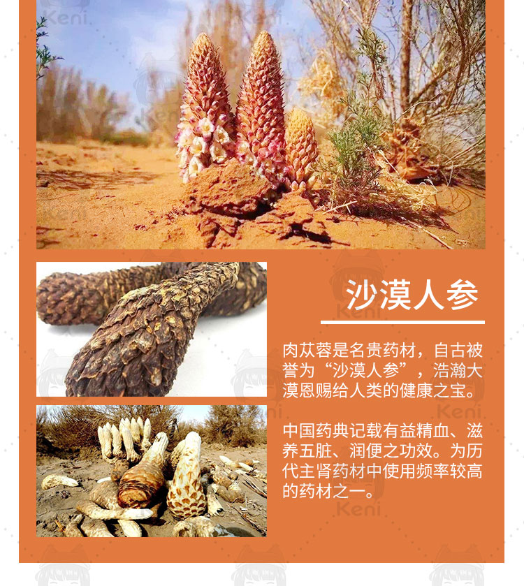 汉和源日本汉和源砂漠沙漠人参百年活力精力气血小田总研浅灰色