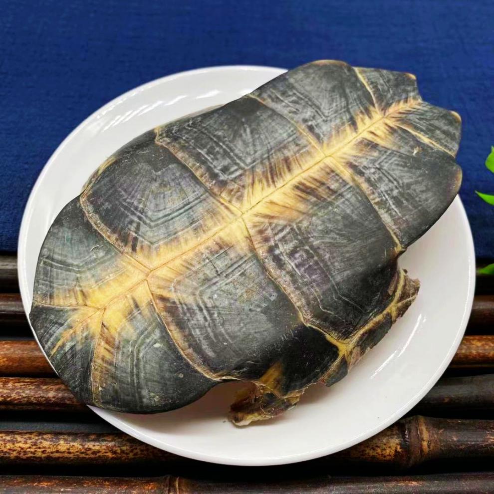 龟板 散装生龟板片龟壳龟下甲龟底板非醋龟板可磨粉中药材 250克