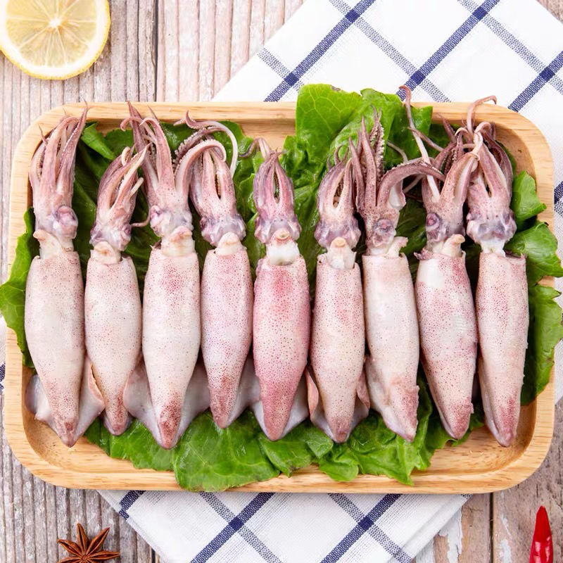 新鲜海兔笔管鱼小墨鱼仔满籽籽乌新鲜海鲜活冷冻乌贼海兔子高品质新鲜