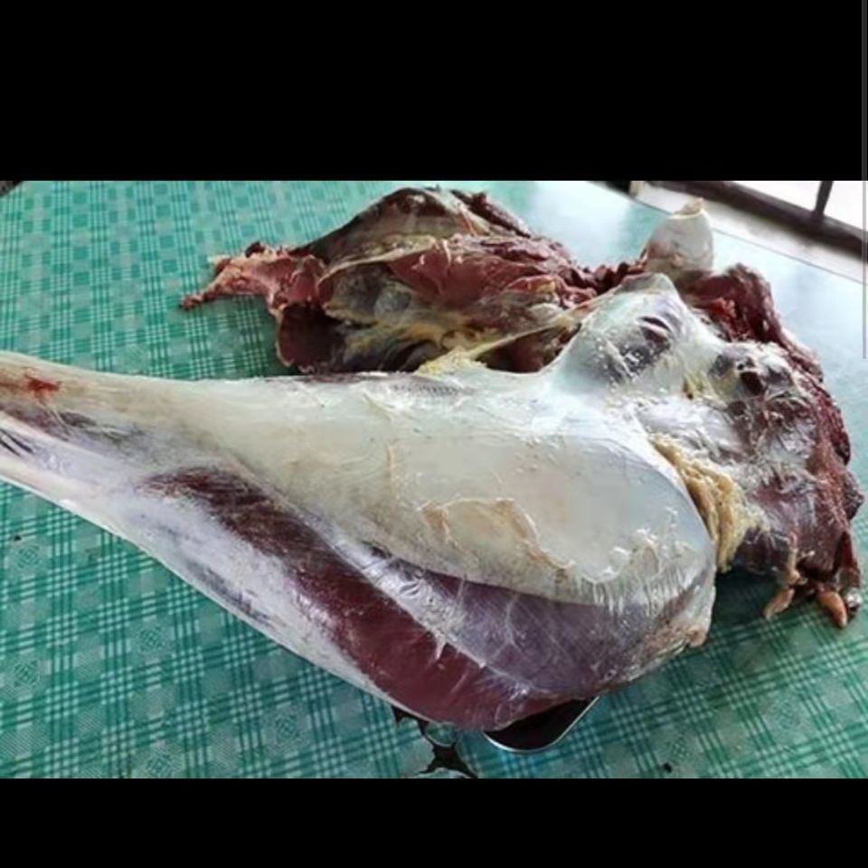 鸵鸟新鲜现杀鸵鸟大腿鸵鸟肉整只生鲜鸵鸟小腿