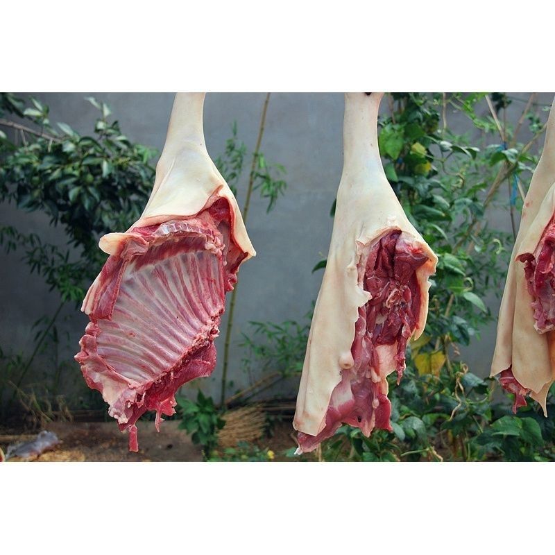 贵州放养黑山羊肉带皮羊肉羊肋排现杀新鲜欧登城娜五斤带皮羊排