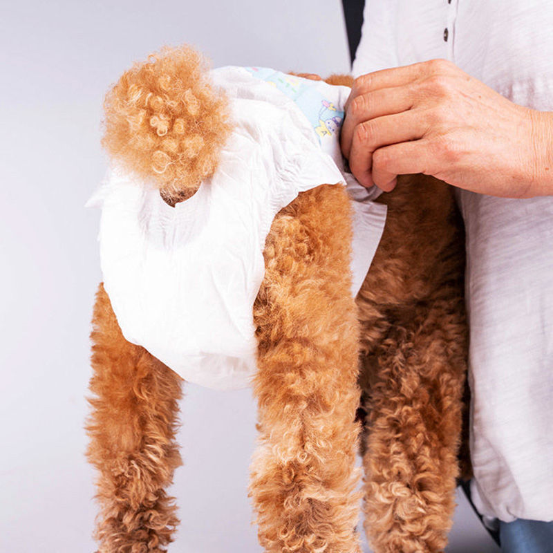 鹿凌青 狗狗纸尿裤母小型犬 母狗专用尿不湿宠物纸尿裤生理裤内裤小狗