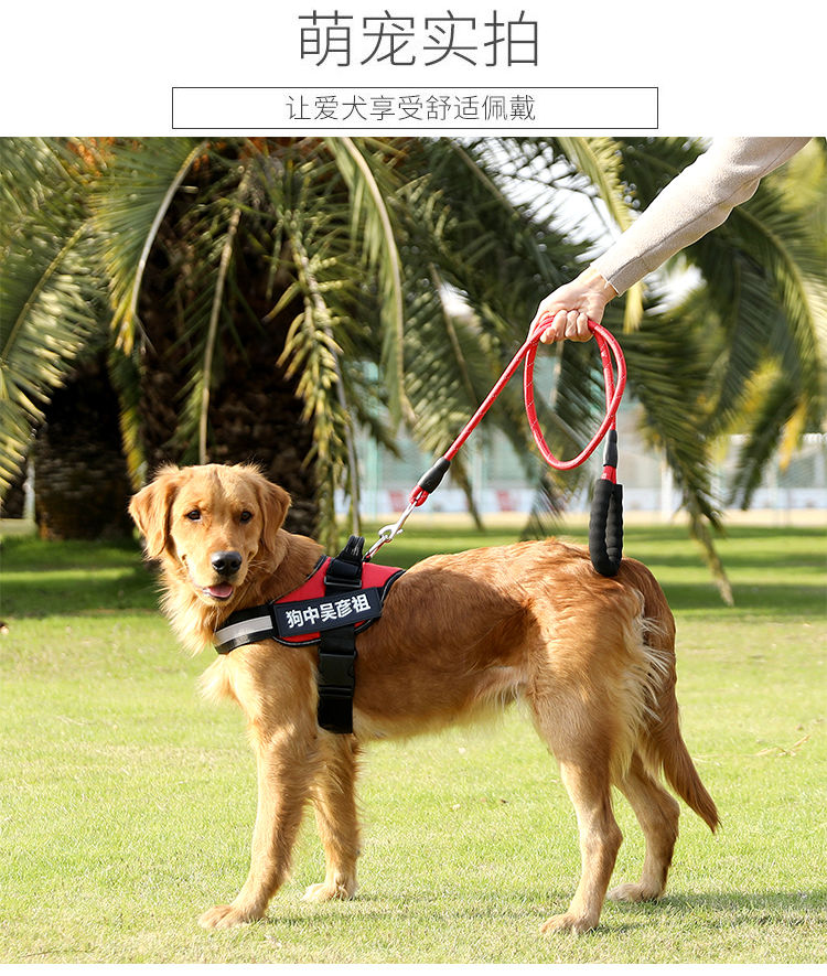 狗狗牵引绳遛狗绳项圈中大型犬金毛拉布拉多泰迪狗链子胸背带结实红色