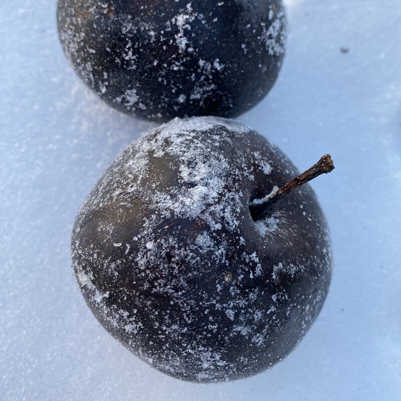 东北冻梨当季水果黑冻梨清甜多汁无渣果园直发农产品冻秋梨 精选装 4