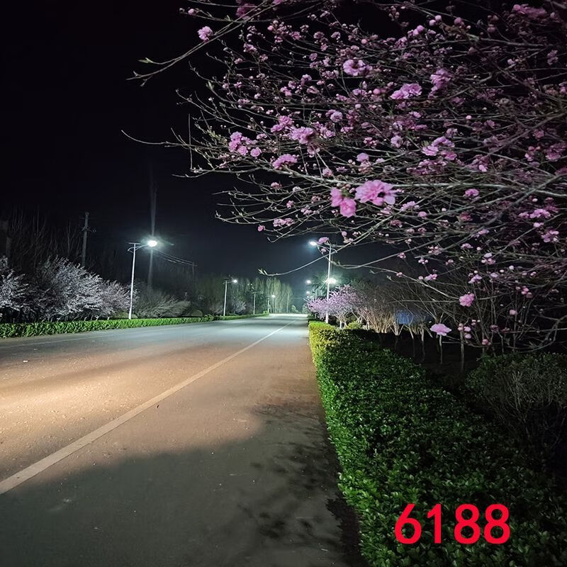 30718ec2f71ef246.jpg