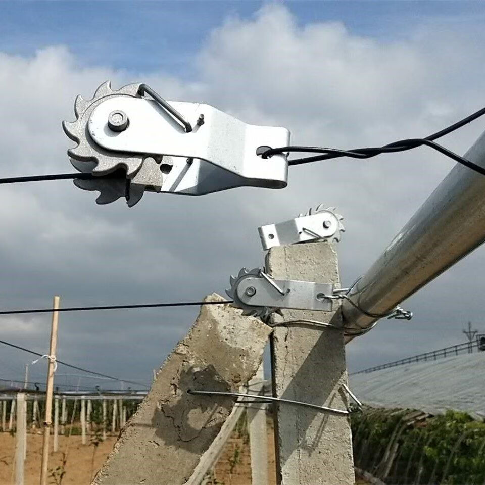 猕猴桃建园拉丝紧线器葡萄大棚种植塑钢线紧绳器钢丝拉紧器收紧扣10个