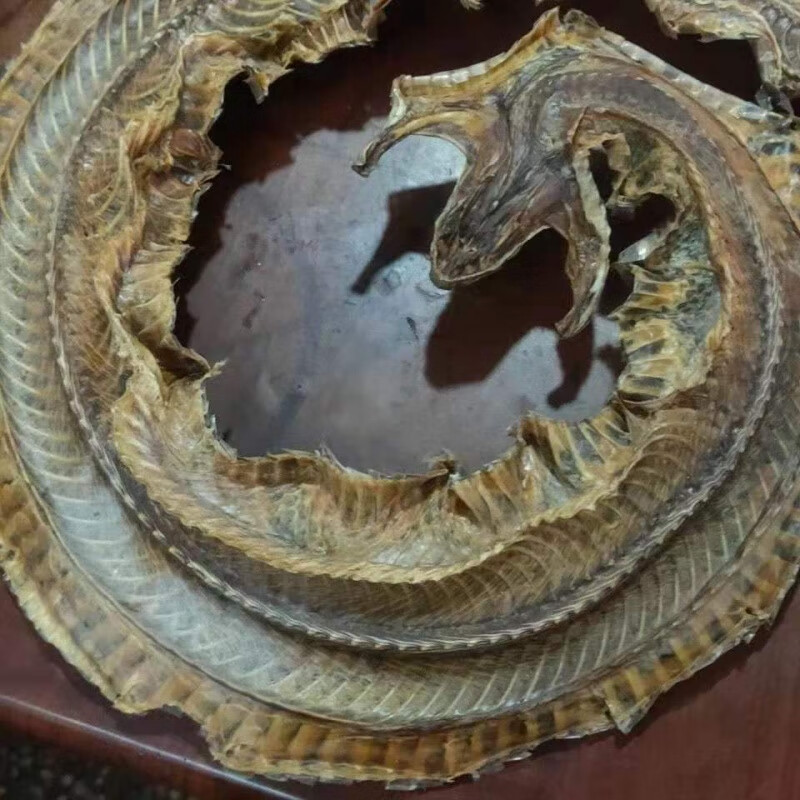 蕲蛇中药材白花蛇100克尖吻蛇腹蛇新货整条蕲蛇支持验货50g 【整条】