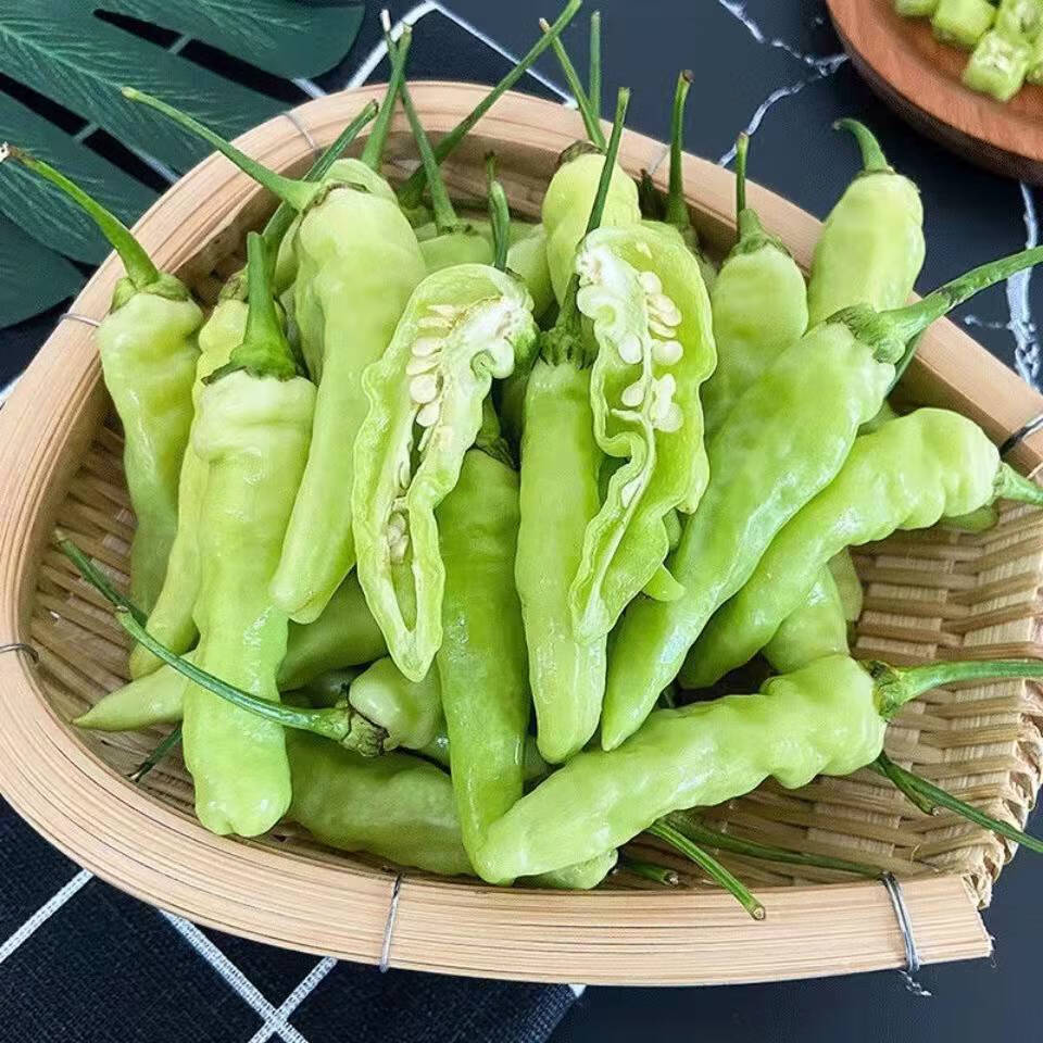 采缇 小米辣黄白皱皮特辣泡椒小米椒云南特产临沧耿种植 1000g【图片