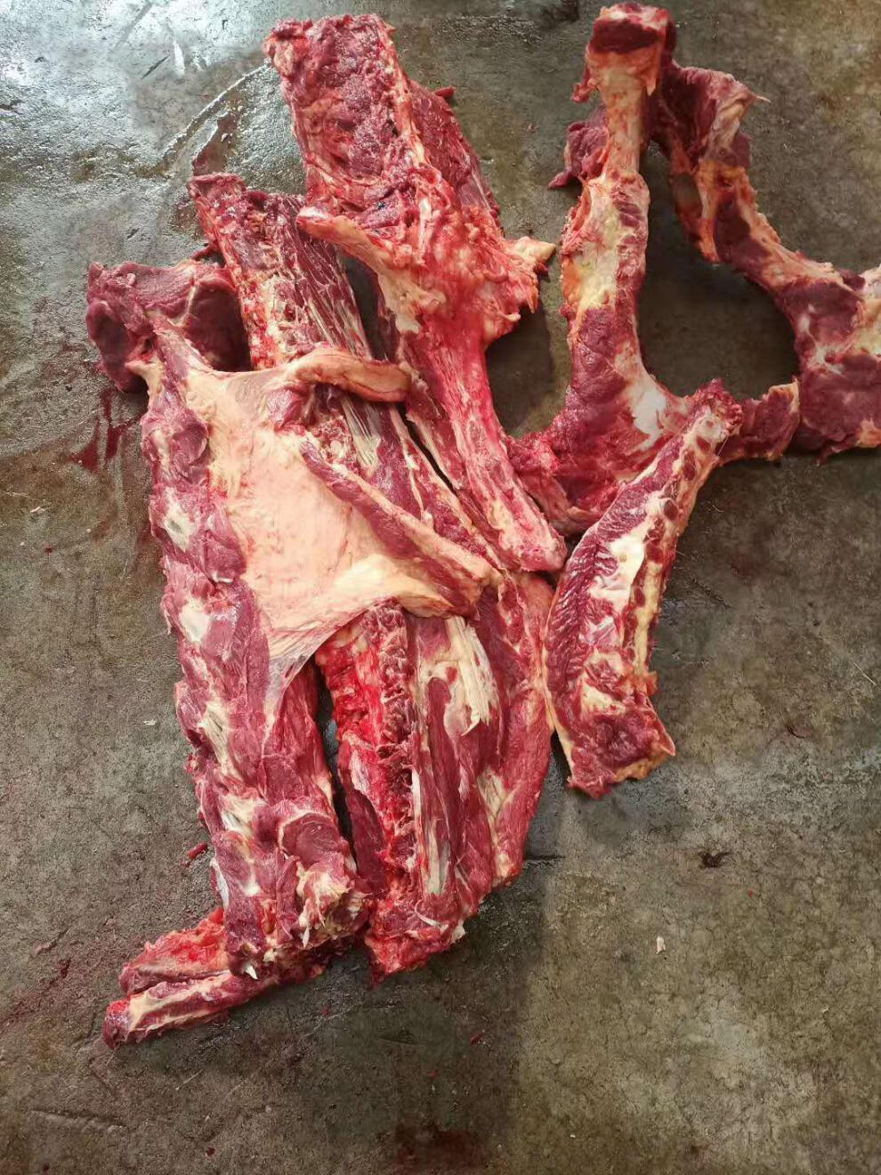 农家散养驴架子带肉驴骨头驴脊骨新鲜正宗驴蝎子驴肉新鲜现杀顺丰3斤