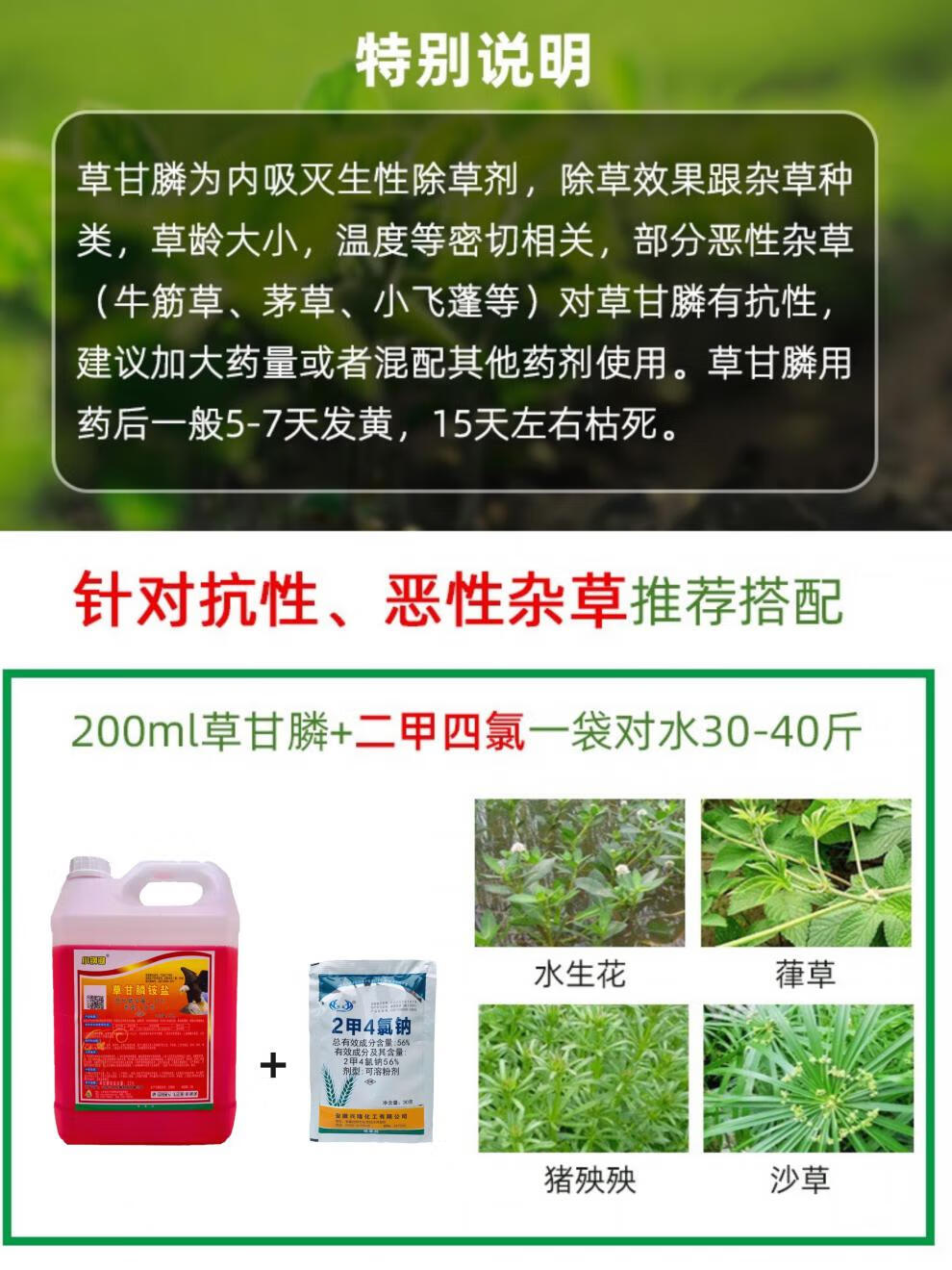 草甘膦除草烂根剂杂草除草剂滴酸草甘膦除草神剂甘草磷立本200ml1瓶