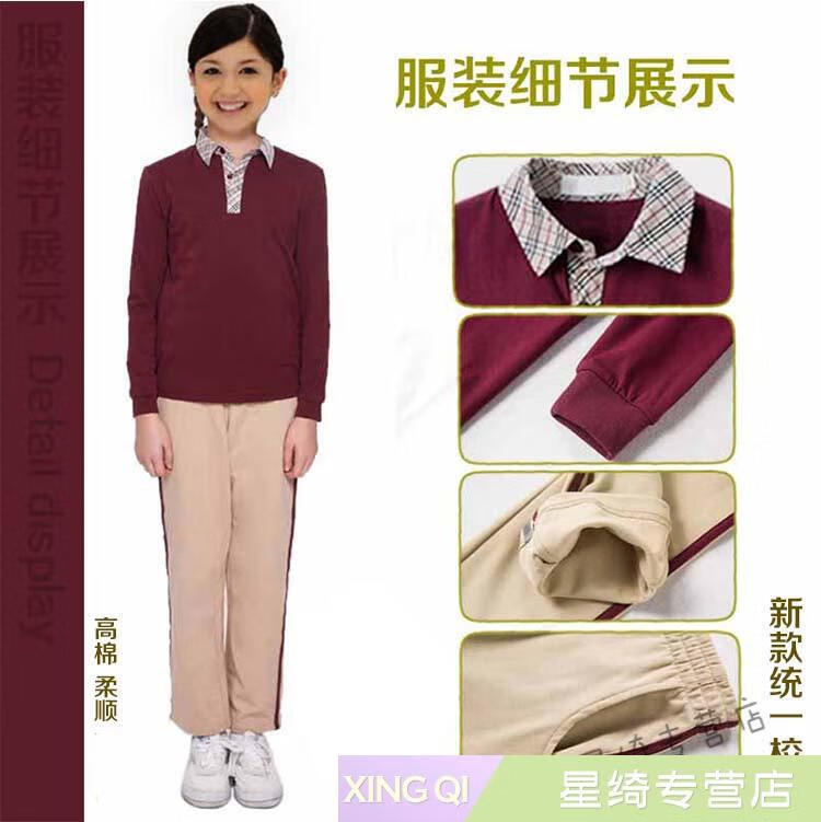 天颛珠海市校服香洲区统一小学生校服运动服夏装春秋季长袖套装男女t9