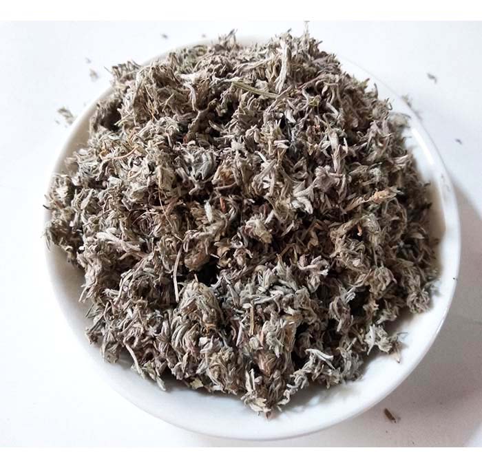 新鲜野外种植菌陈草菌陈500克精选干货菌陈茶棉菌陈无硫中药材原料