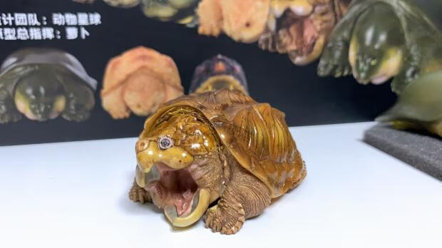 心宽体胖系列 动物星球心宽体胖系列白化鳄龟手办限量初版稀少现货