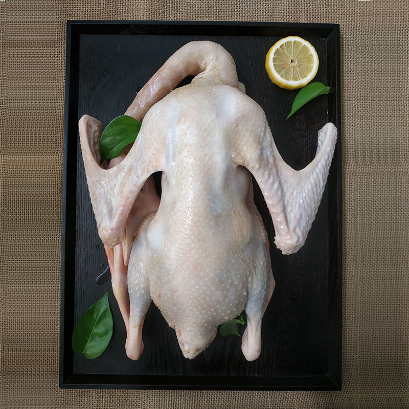 农家放养大白鹅东北土鹅整只鹅肉鹅心肝鹅掌炖大鹅食材新鲜鲜露达山东