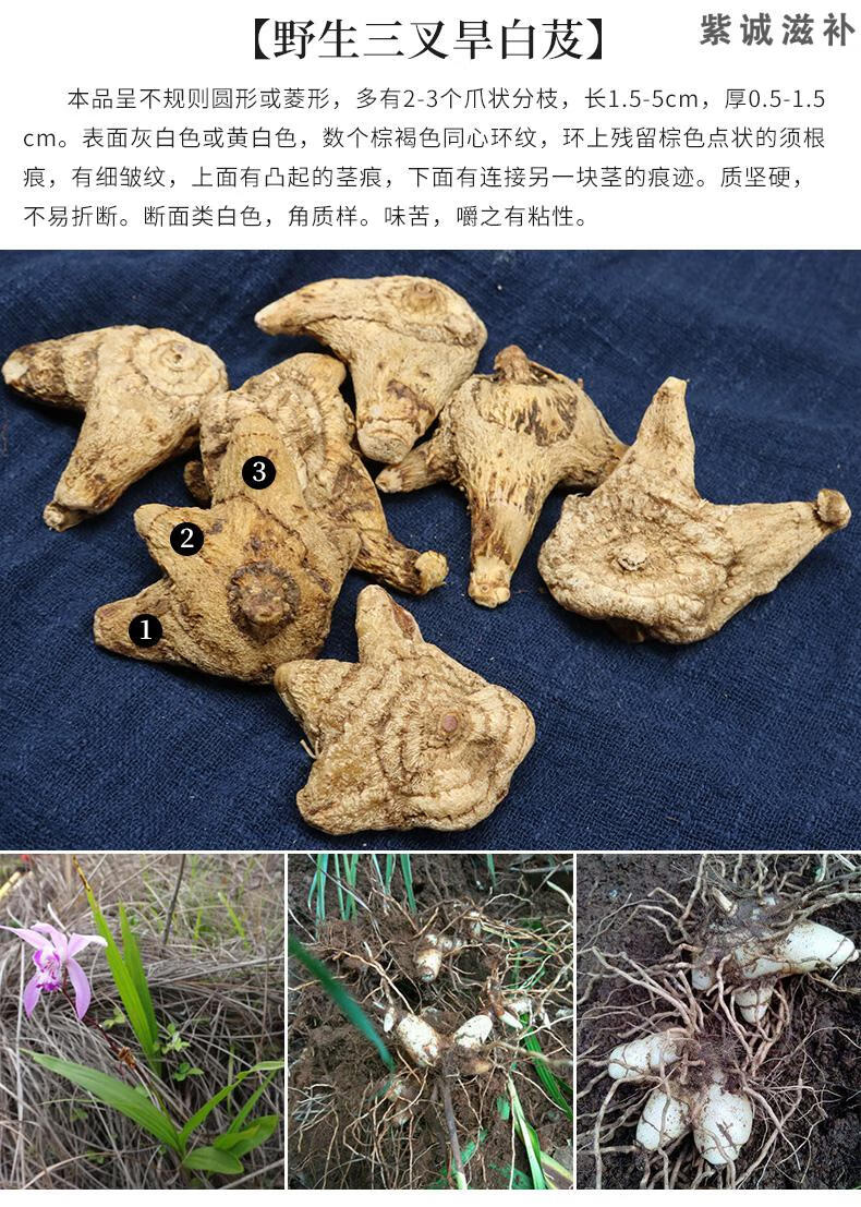 白芨药材图片及功效图片