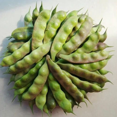 东北油豆角紫花油豆新鲜蔬菜东北油豆一点红当季农家2斤泡沫箱冰袋