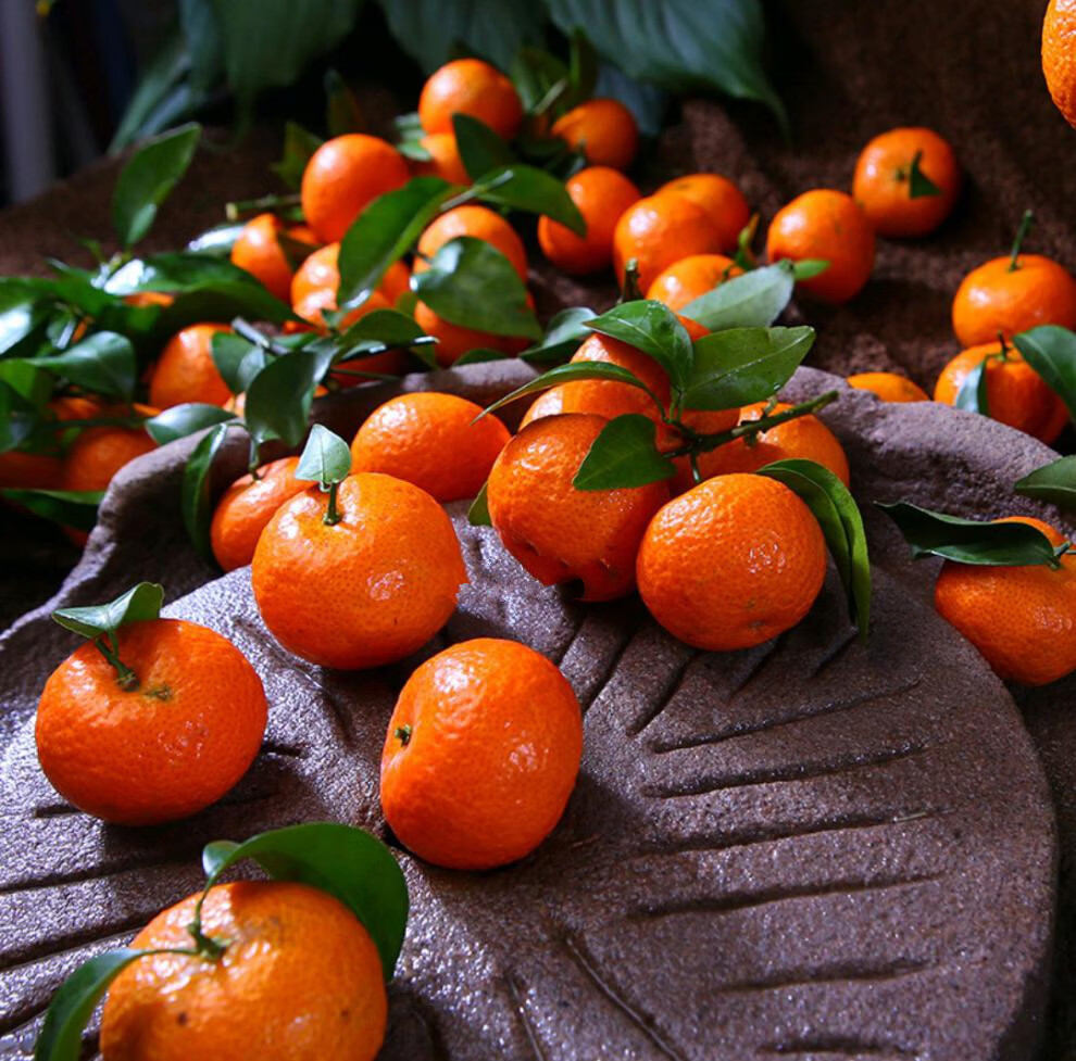 广西砂糖桔新鲜水果金秋沙塘桔当季小橘子甜整箱5斤精选好果