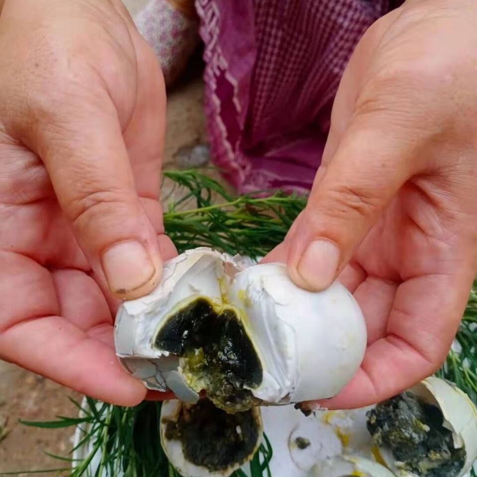 农家正宗臭鸭蛋咸鸭臭蛋海鸭蛋臭蛋熟臭鸭蛋小时候味道 臭鸭蛋70克