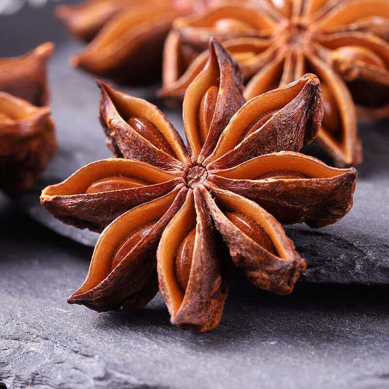 八角苗嫁接苗批发八角树苗古龙大红罗马种八角大料茴香苗 麦基乐 罗马