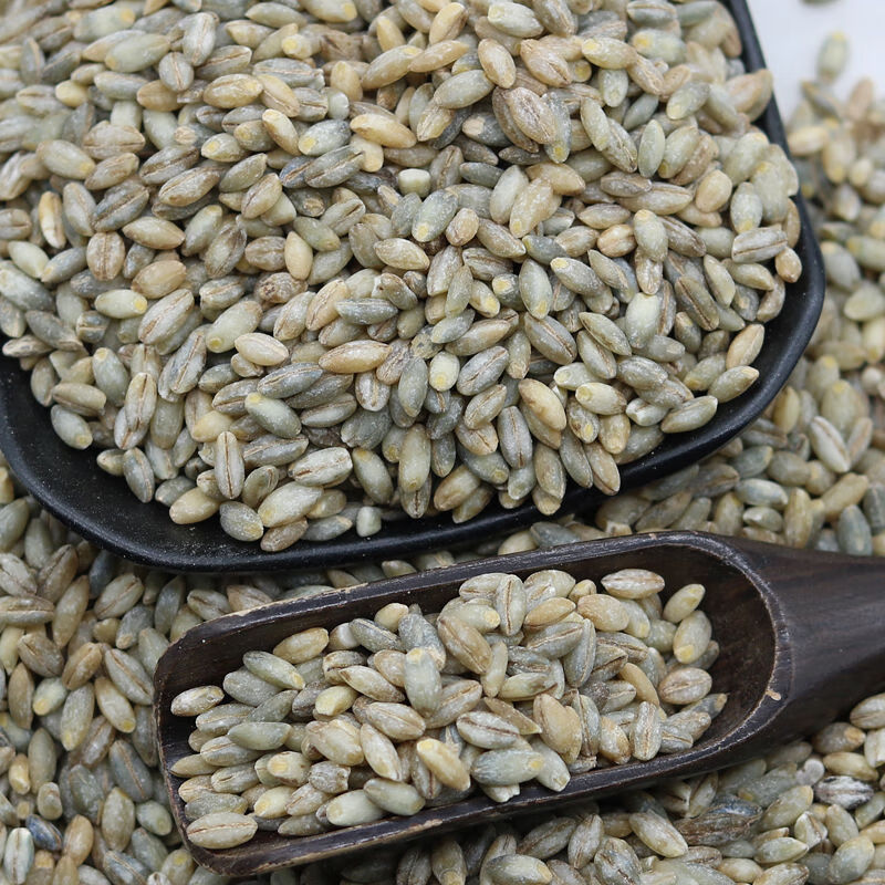 新米 西藏杂粮 蓝青稞米5斤 青海五谷杂粮粗粮米粥饭麦仁谷物 黑青稞