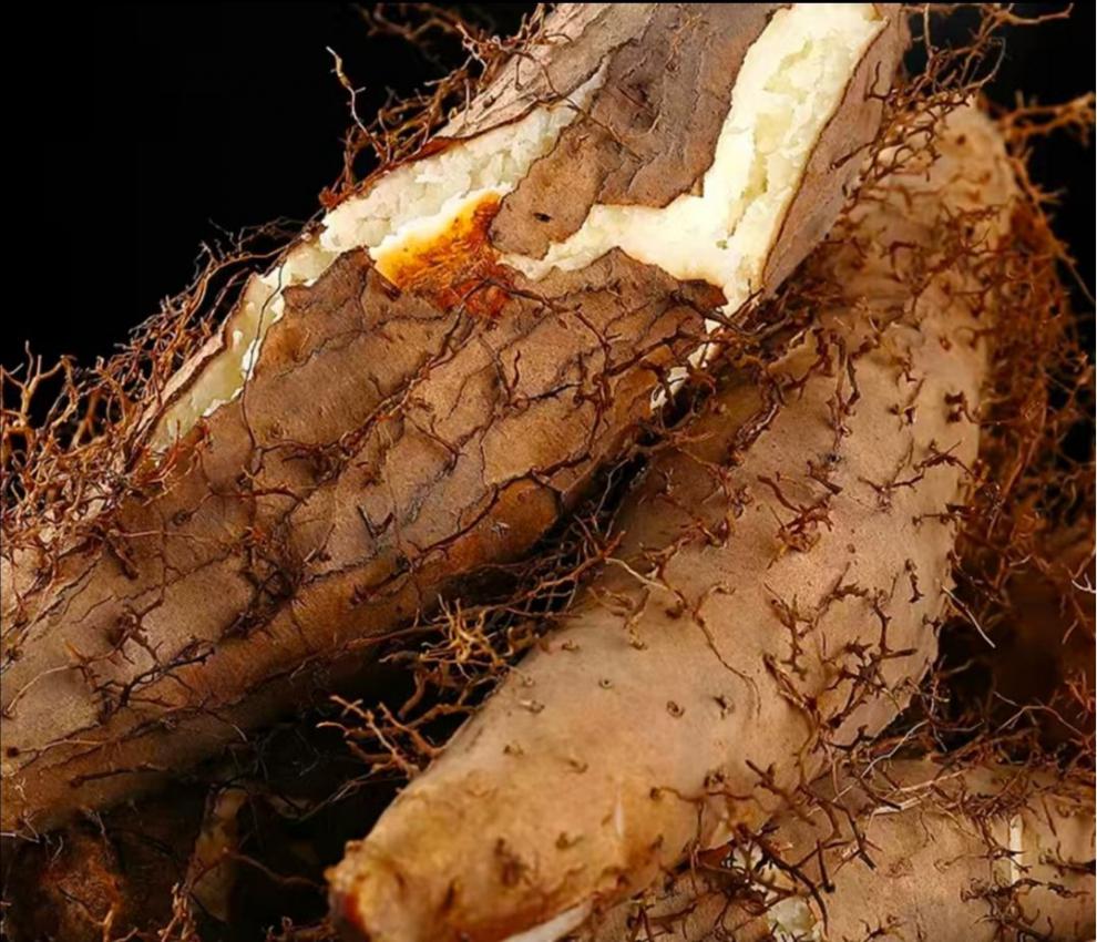 广东毛薯农家新鲜猪仔薯甜薯火苕薯粉糯香山药脚板薯土薯山薯5斤装