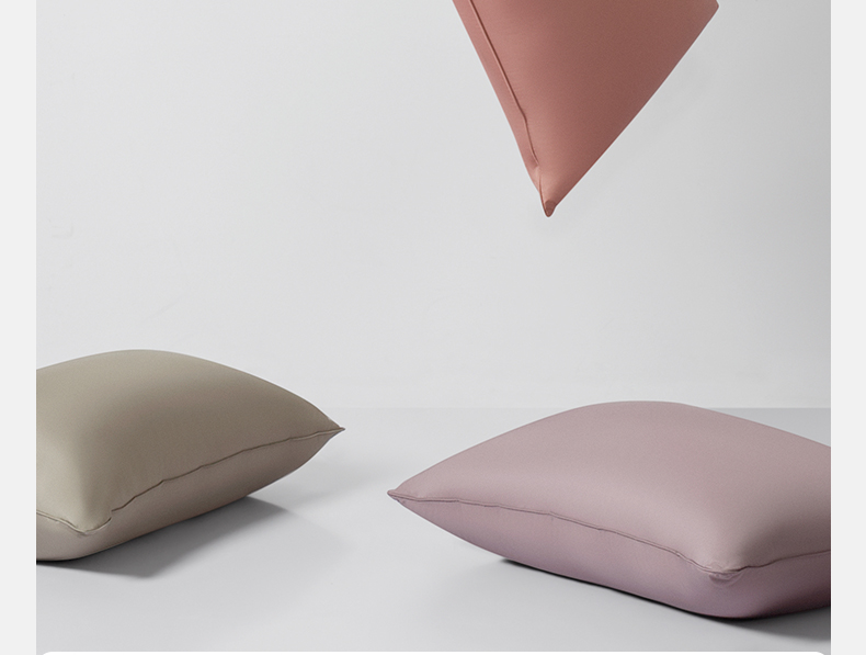 艾美家舒适枕艾美家头单人男女家用低枕单个装超软枕芯巧克力色两只装