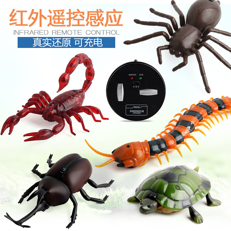 5157cb69f5ee1ae0.jpg