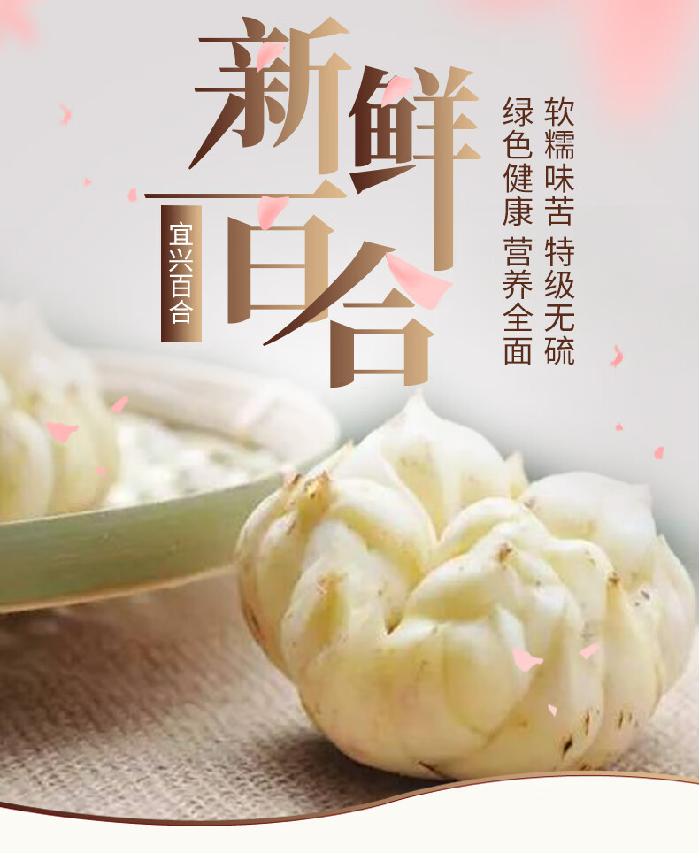 礼盒装宜兴鲜百合江苏特产大百合新鲜农家食用现摘现挖蔬菜5斤丨16头