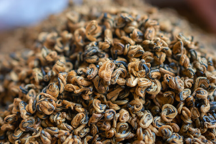 天赐盛茗凤庆滇红茶黄金螺2021春茶云南古树红茶红螺金芽滇红黄金螺