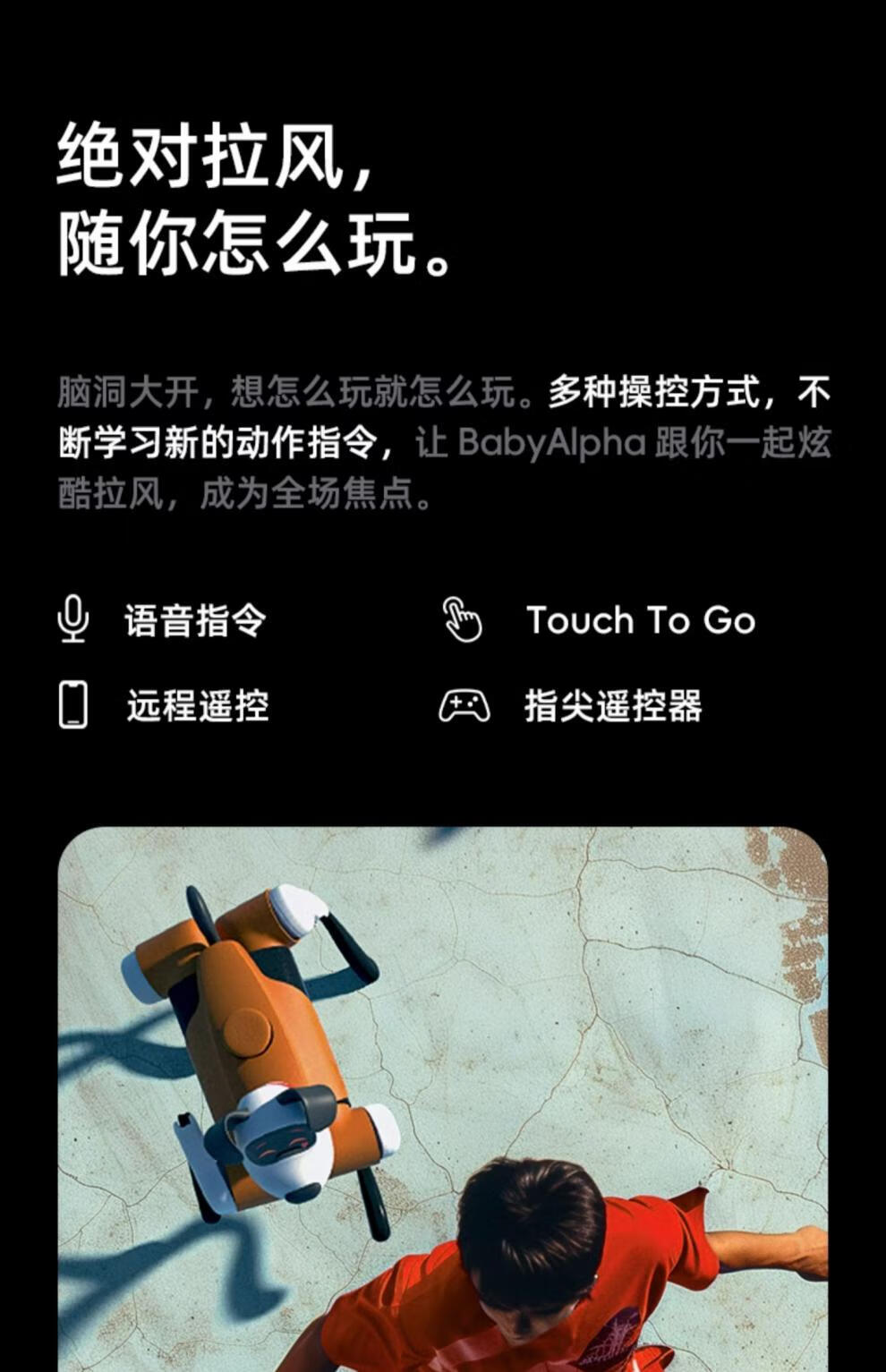 9fe09a42f31936bf.jpg