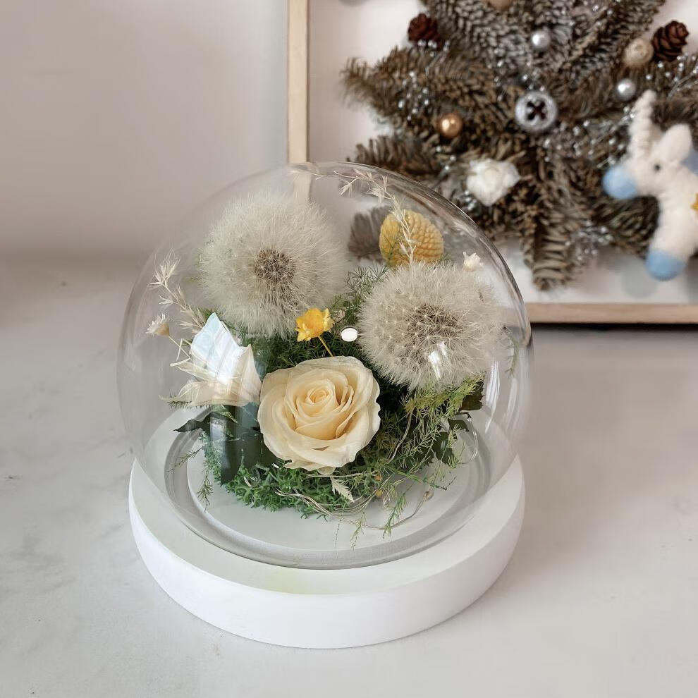 永生花礼盒玻璃罩蒲公英许愿瓶干花束教师节女友闺蜜毕业礼物浅绿色可