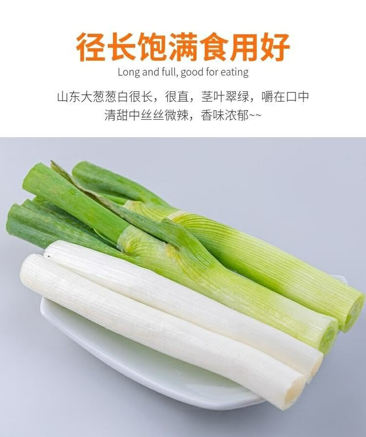正宗山东大葱新鲜当季蔬菜东北长葱甜葱蘸酱整箱带箱1500g