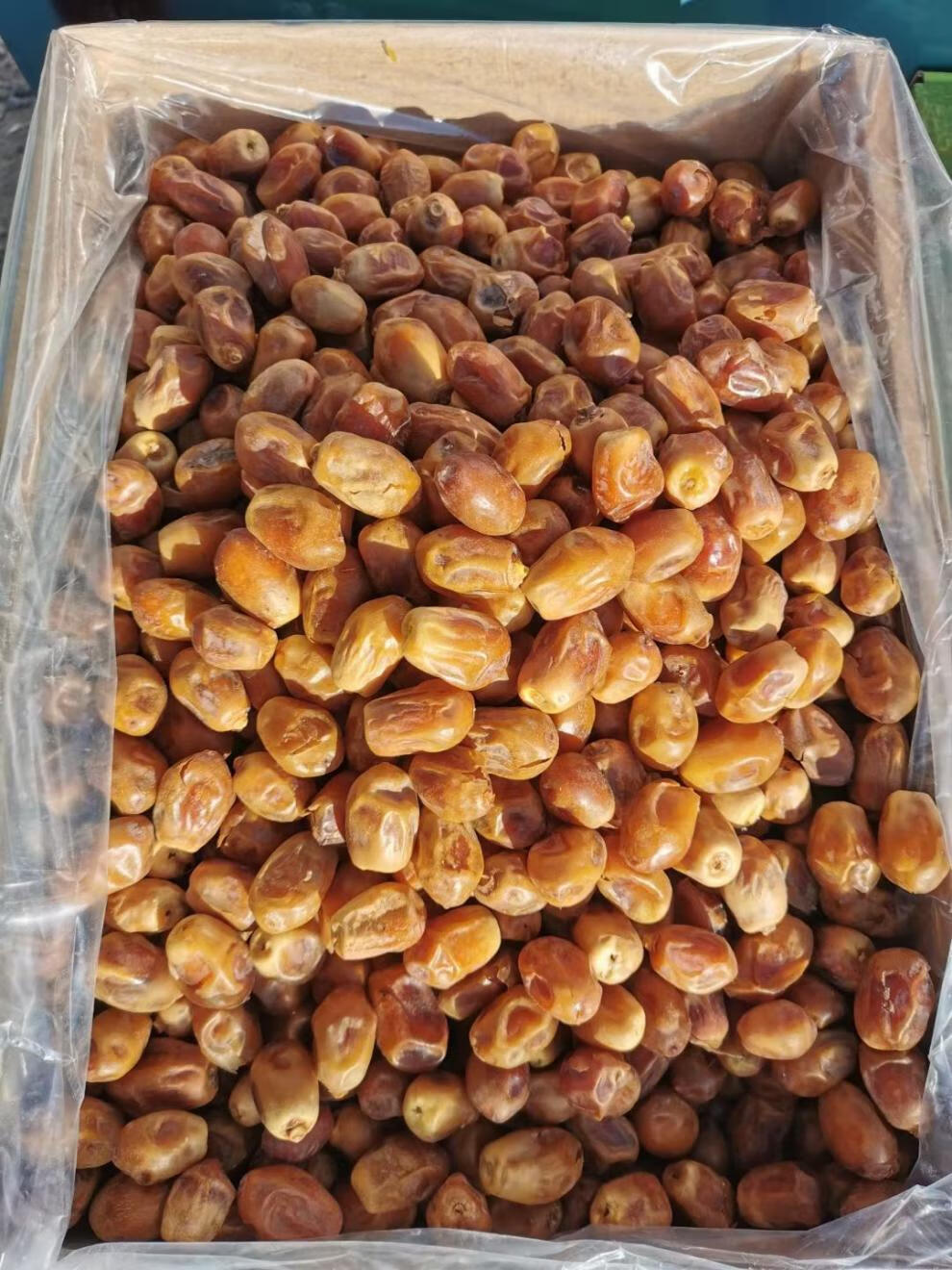 伊拉克黄椰枣 伊拉克椰枣纯正宗 枣中东枣甜枣零食 两斤伊朗黑椰枣