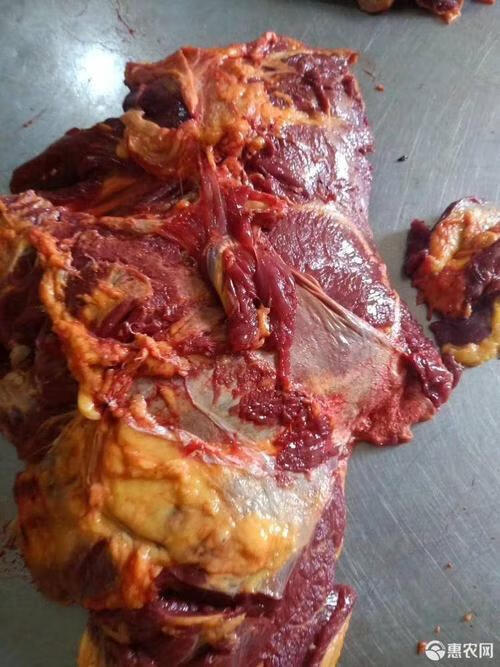 马肉新鲜马肉驴肉马肉3斤装
